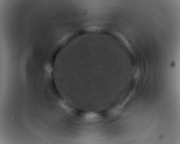 X0000101140669200807110944