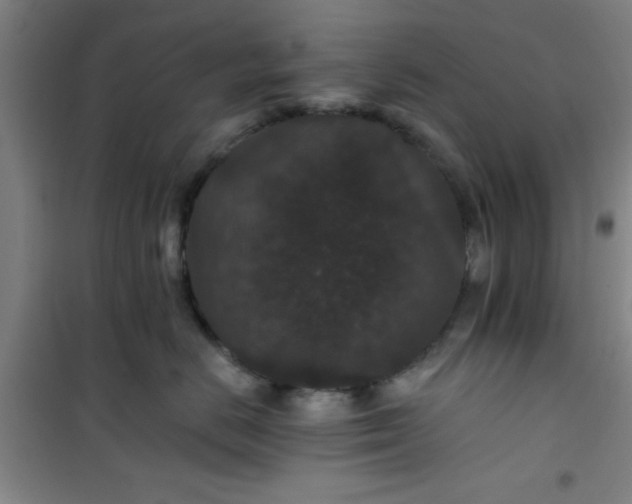 X0000101140670200807110944