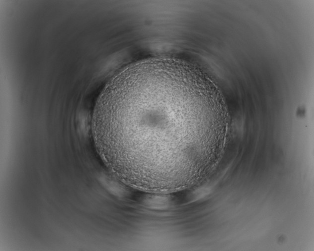 X0000101140671200807110944