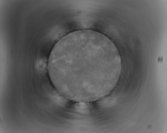 X0000101140672200807110944