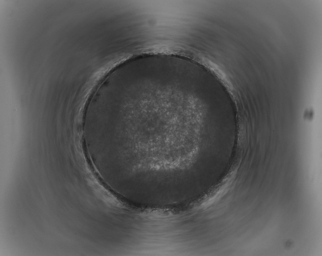 X0000101140673200807110943