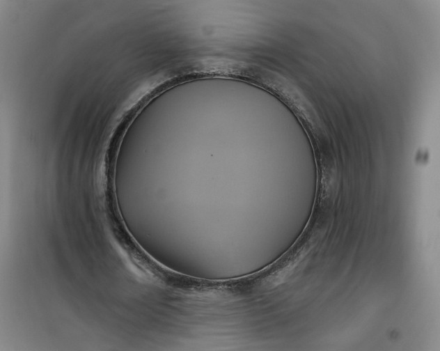 X0000101140674200807110943