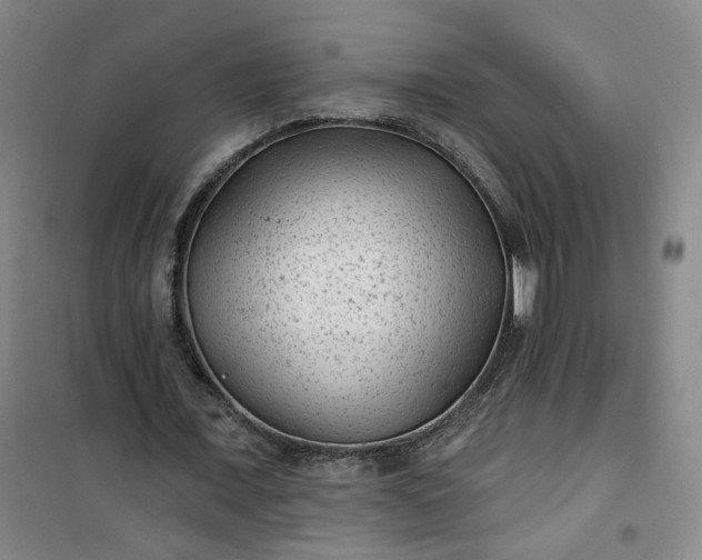 X0000101140675200807110943