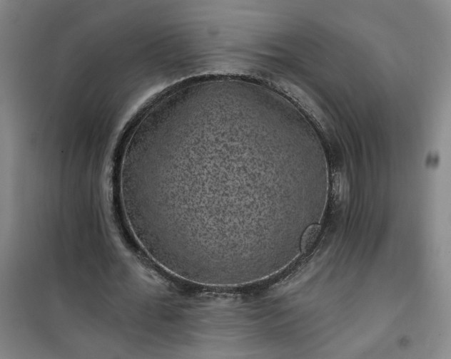 X0000101140676200807110943