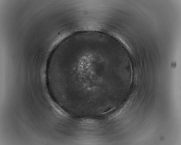 X0000101140677200807110943