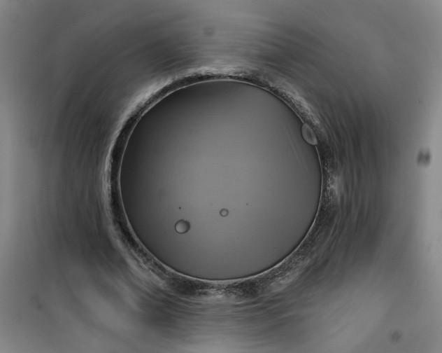 X0000101140678200807110943