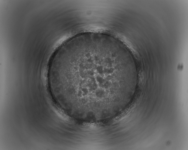 X0000101140679200807110943