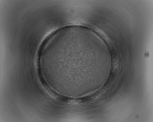 X0000101140680200807110943