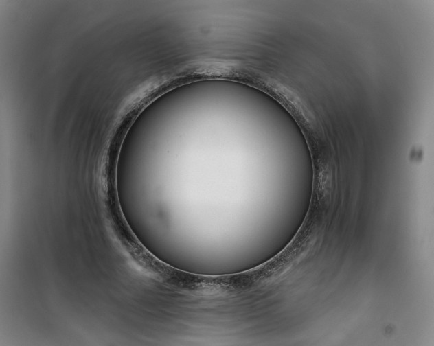 X0000101140682200807110943