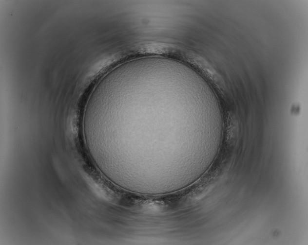 X0000101140683200807110943