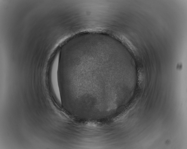 X0000101140684200807110943