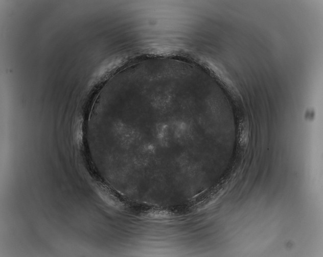 X0000101140685200807110943