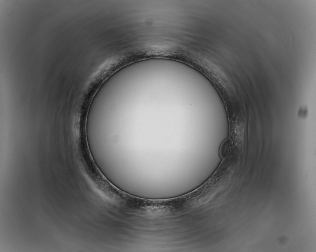 X0000101140686200807110943