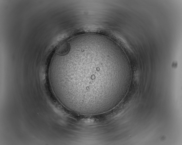 X0000101140687200807110943