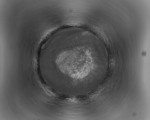 X0000101140688200807110943