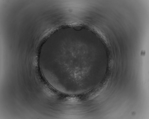 X0000101140689200807110943