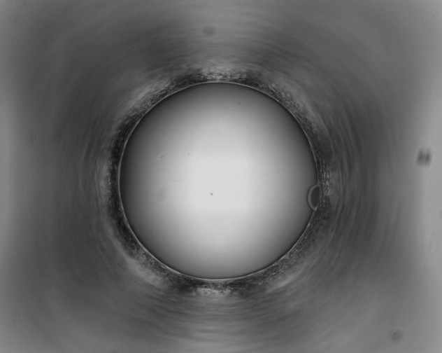 X0000101140690200807110943