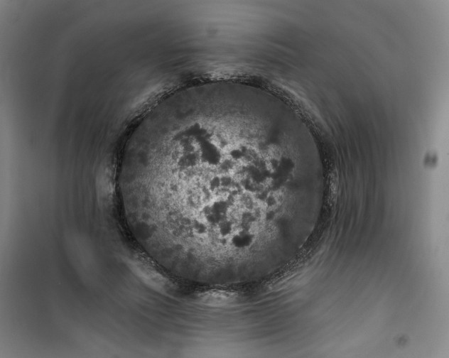 X0000101140691200807110943