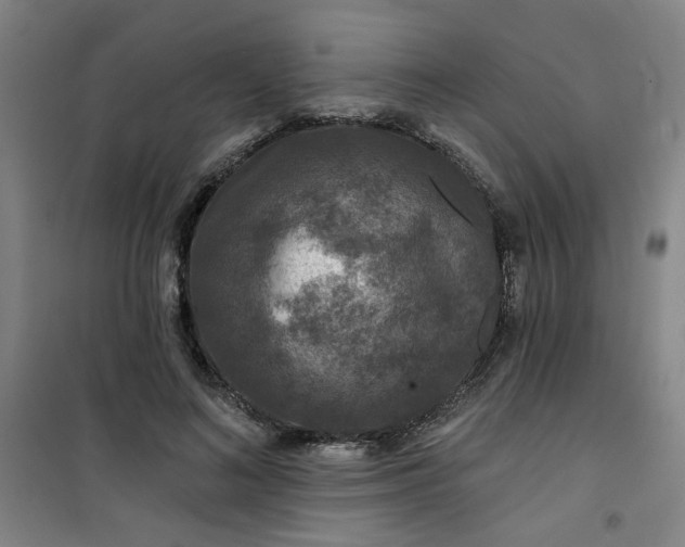 X0000101140692200807110943