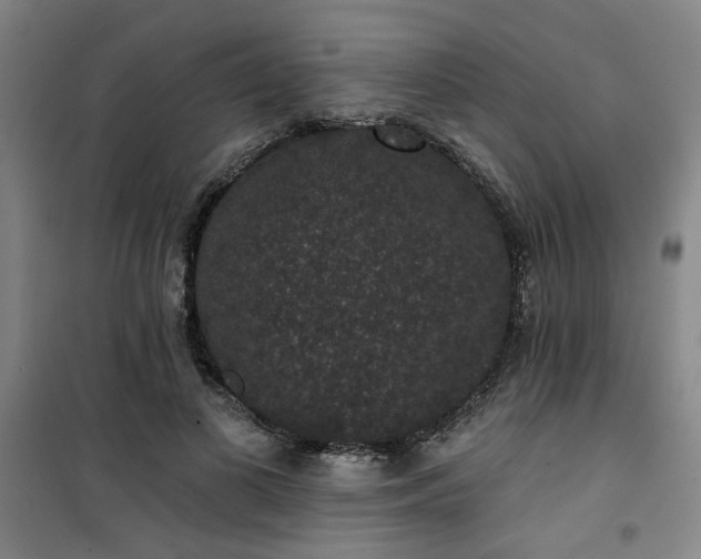 X0000101140693200807110943