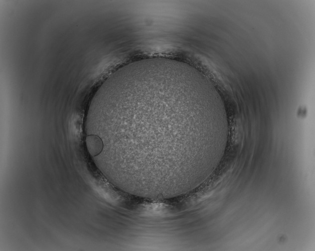 X0000101140695200807110943