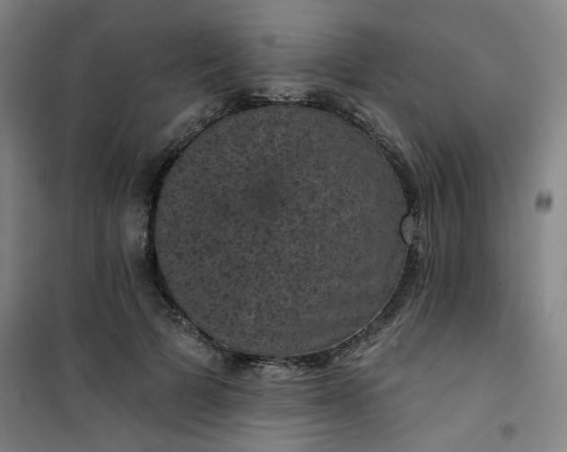 X0000101140697200807110943