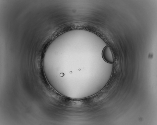 X0000101140698200807110943