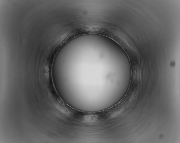 X0000101140700200807110943