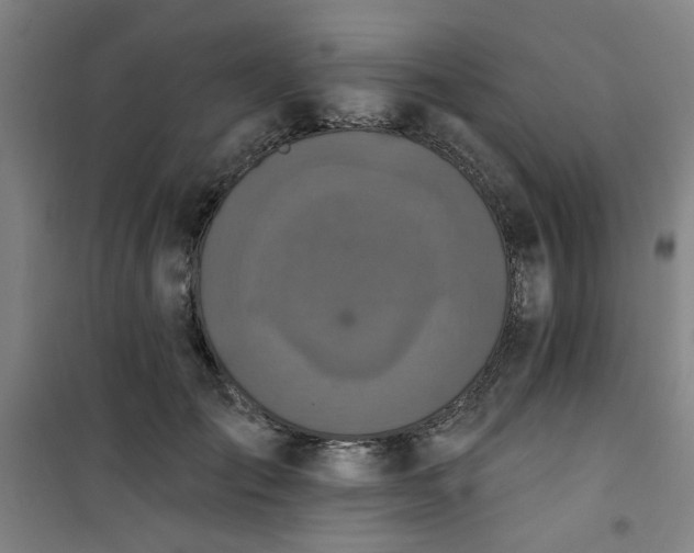 X0000101140701200807110943