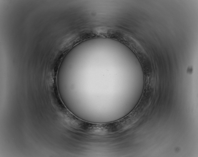 X0000101140702200807110943