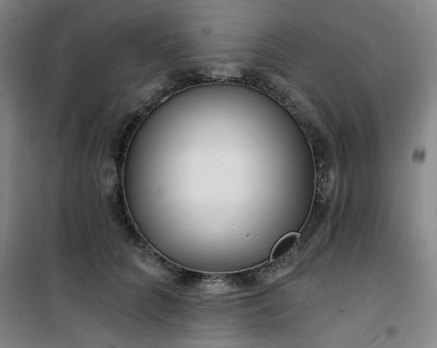 X0000101140704200807110943