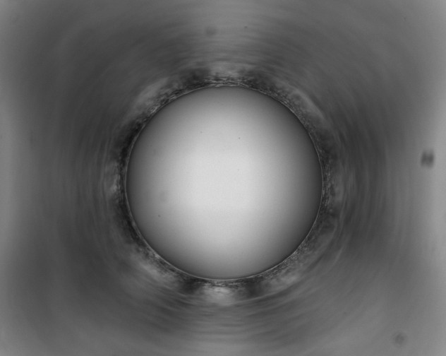 X0000101140706200807110943