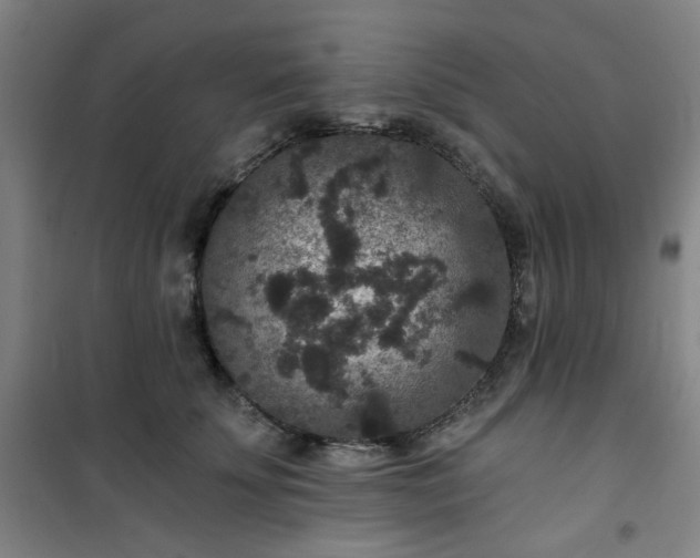 X0000101140707200807110943