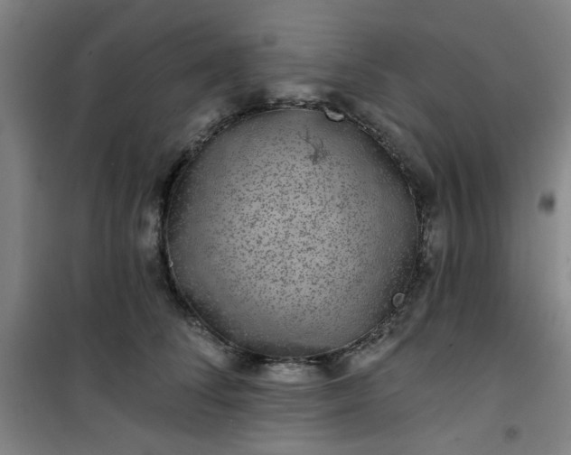 X0000101140708200807110943