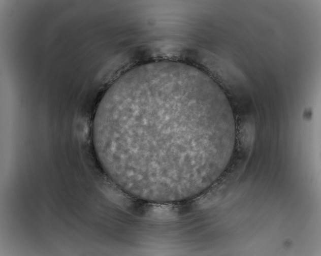 X0000101140709200807110943