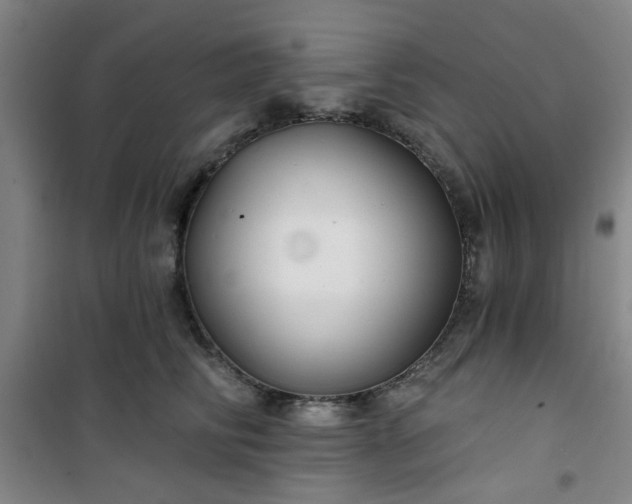 X0000101140710200807110942