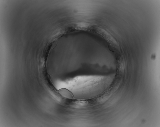 X0000101140711200807110942