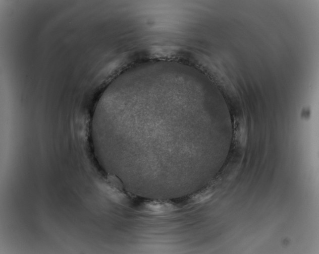 X0000101140712200807110942