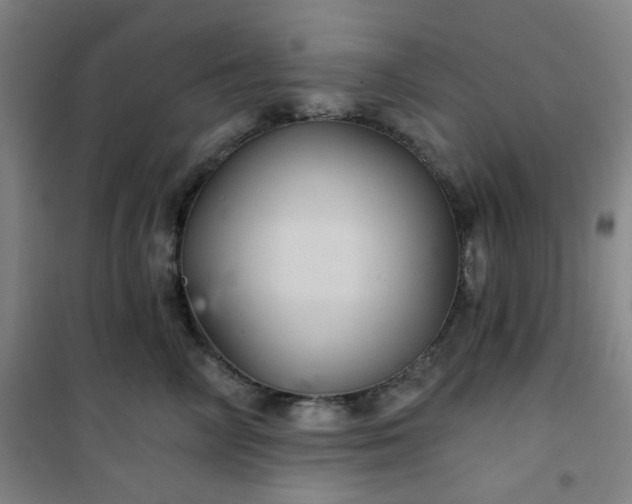 X0000101140714200807110942