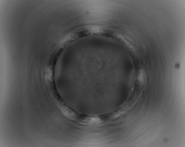 X0000101140715200807110942