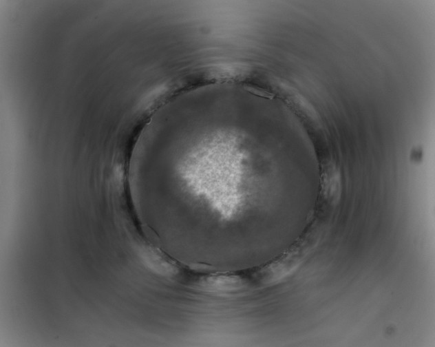 X0000101140716200807110942