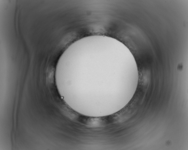 X0000101140717200807110942