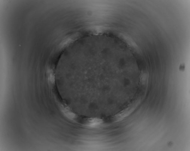 X0000101140719200807110942