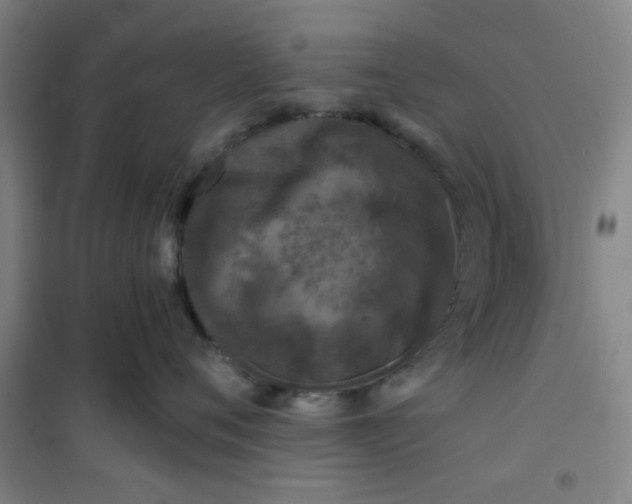 X0000101140720200807110942