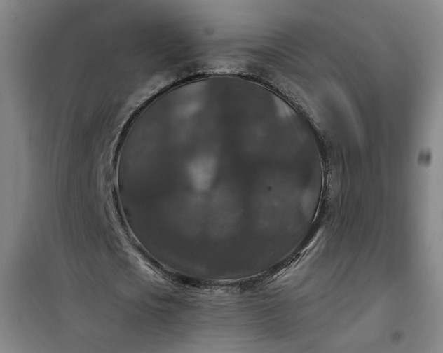 X0000101140721200807110942