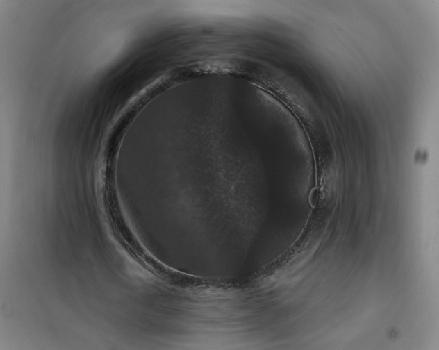 X0000101140722200807110942