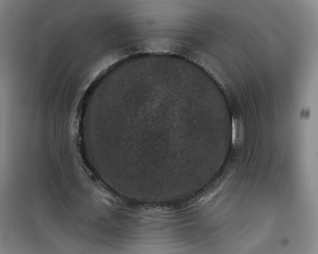 X0000101140723200807110942