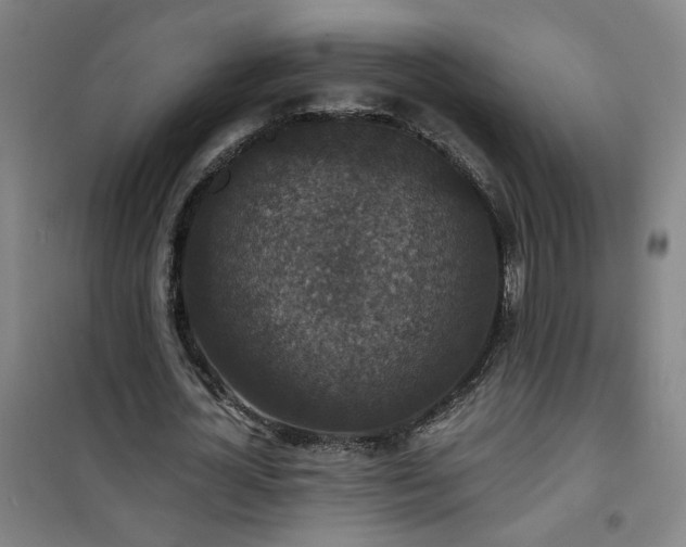 X0000101140724200807110942