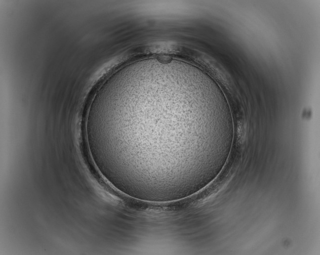 X0000101140725200807110942