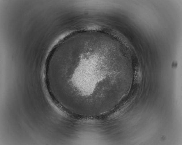 X0000101140726200807110942